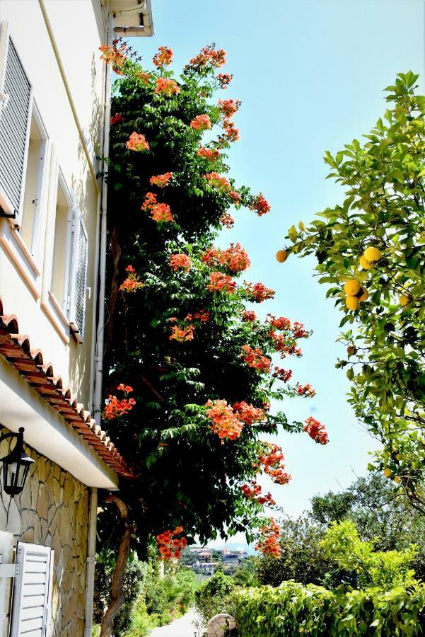 Βίλλα Διονύσιος Διαμέρισμα Κερί Εξωτερικό φωτογραφία